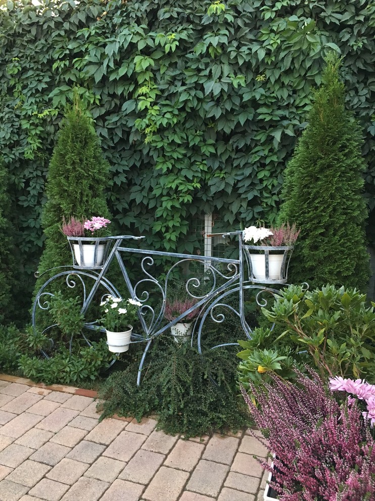 Цветы в саду