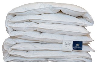 Twin Goose Down Duvets Contemporary Duvets By Manufacture Castex