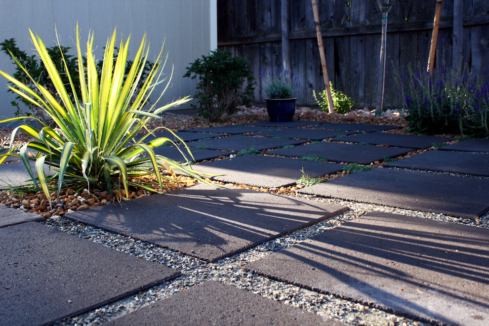 Inspiration for a modern backyard garden in Denver with concrete pavers.