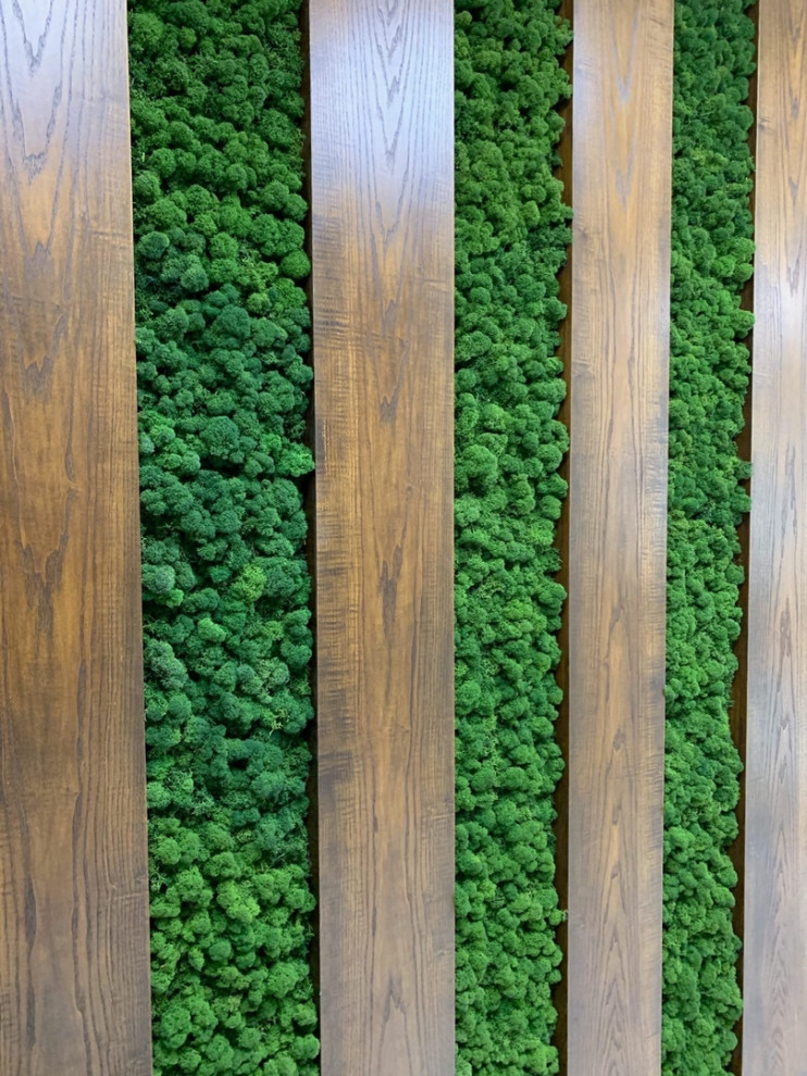 Стена из стабилизированного мха