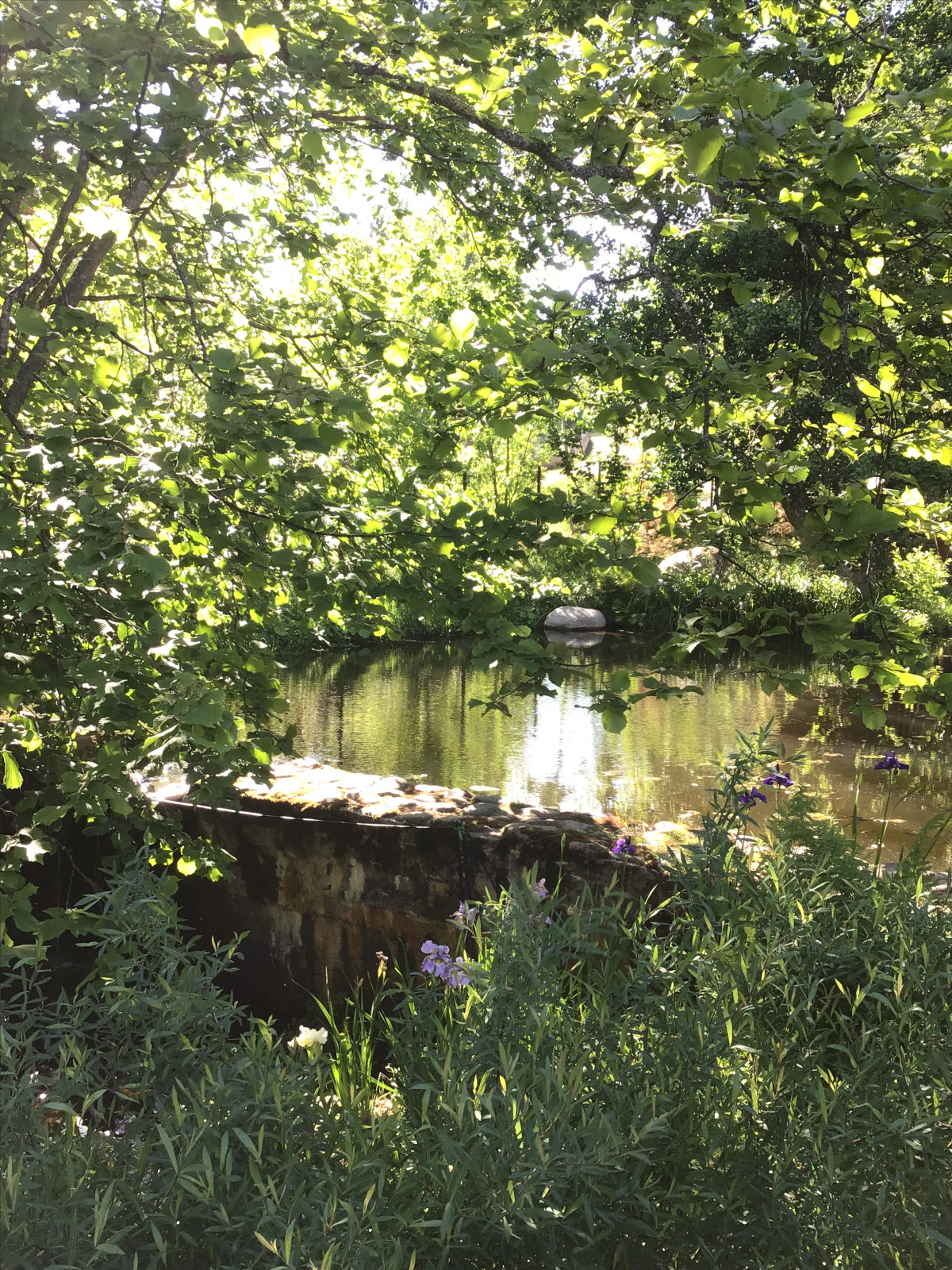 Сад натуралистического стиля