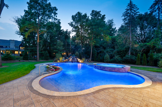 Naperville Il Freeform Swimming Pool With Raised Hot Tub Traditional