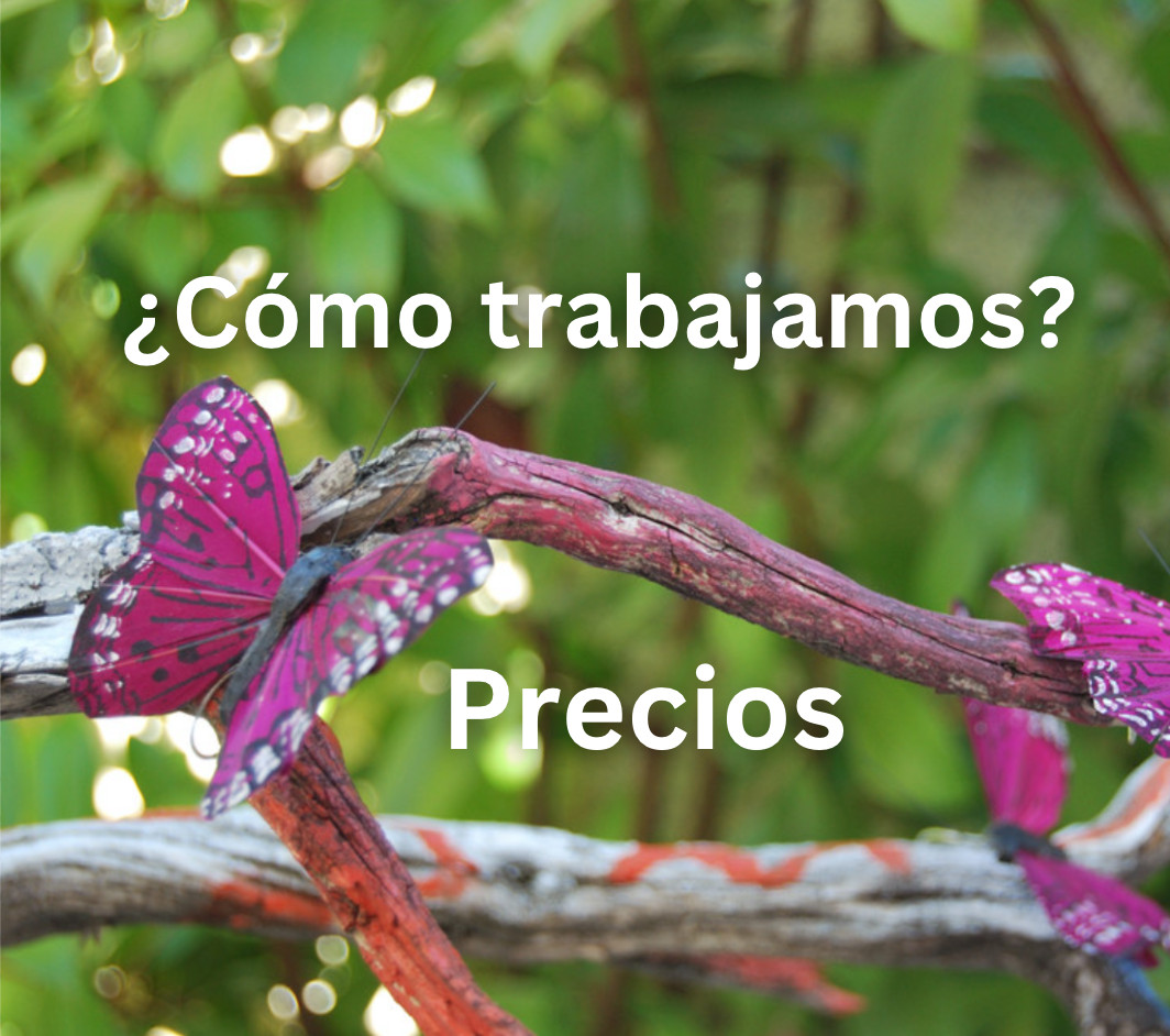 ¿Cómo trabajamos? | Precios
