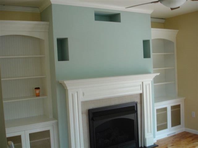 Custom Cabinetry surrounds AH VF Gas Fireplace 22134 klassisk-vardagsrum