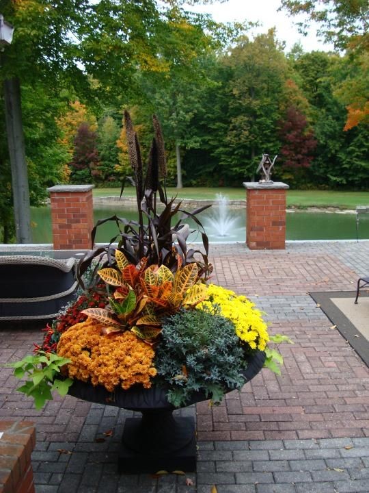 Fall planter with Red Barron Millet, Mums, Cabbage, chili peppers, potato vine and croutons. Pool Side!