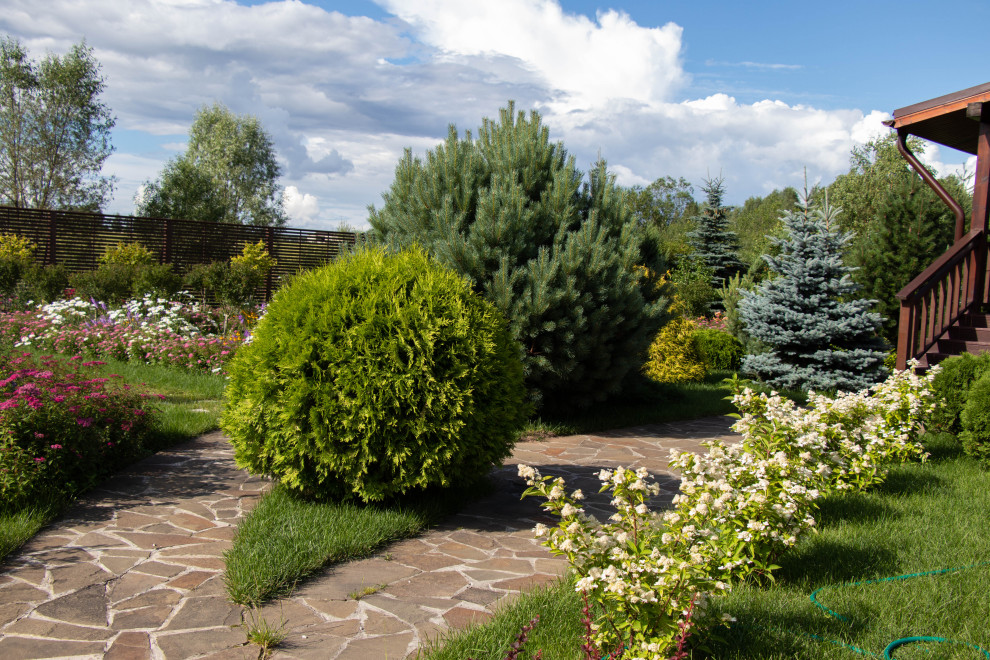 Сосновые берега