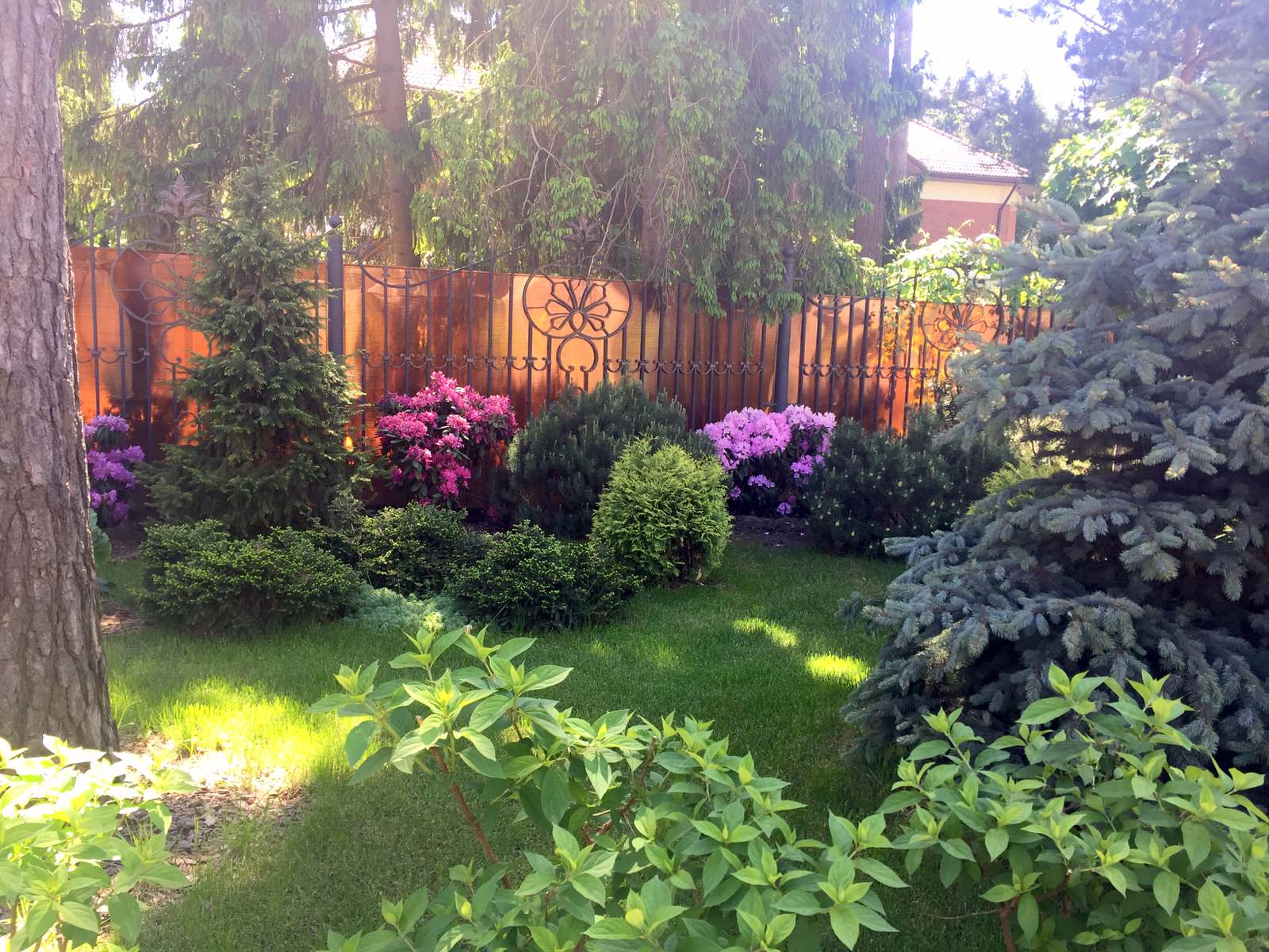 Сосновый Бор 2018