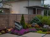 Modern Landscape by TLC Gardens