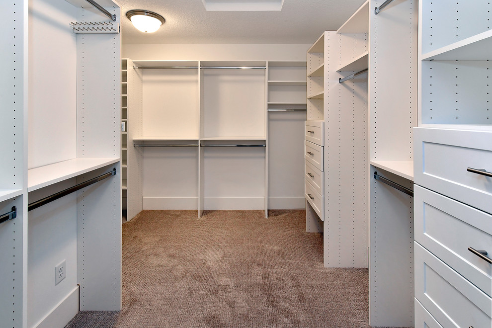 Home design - transitional home design idea in Minneapolis