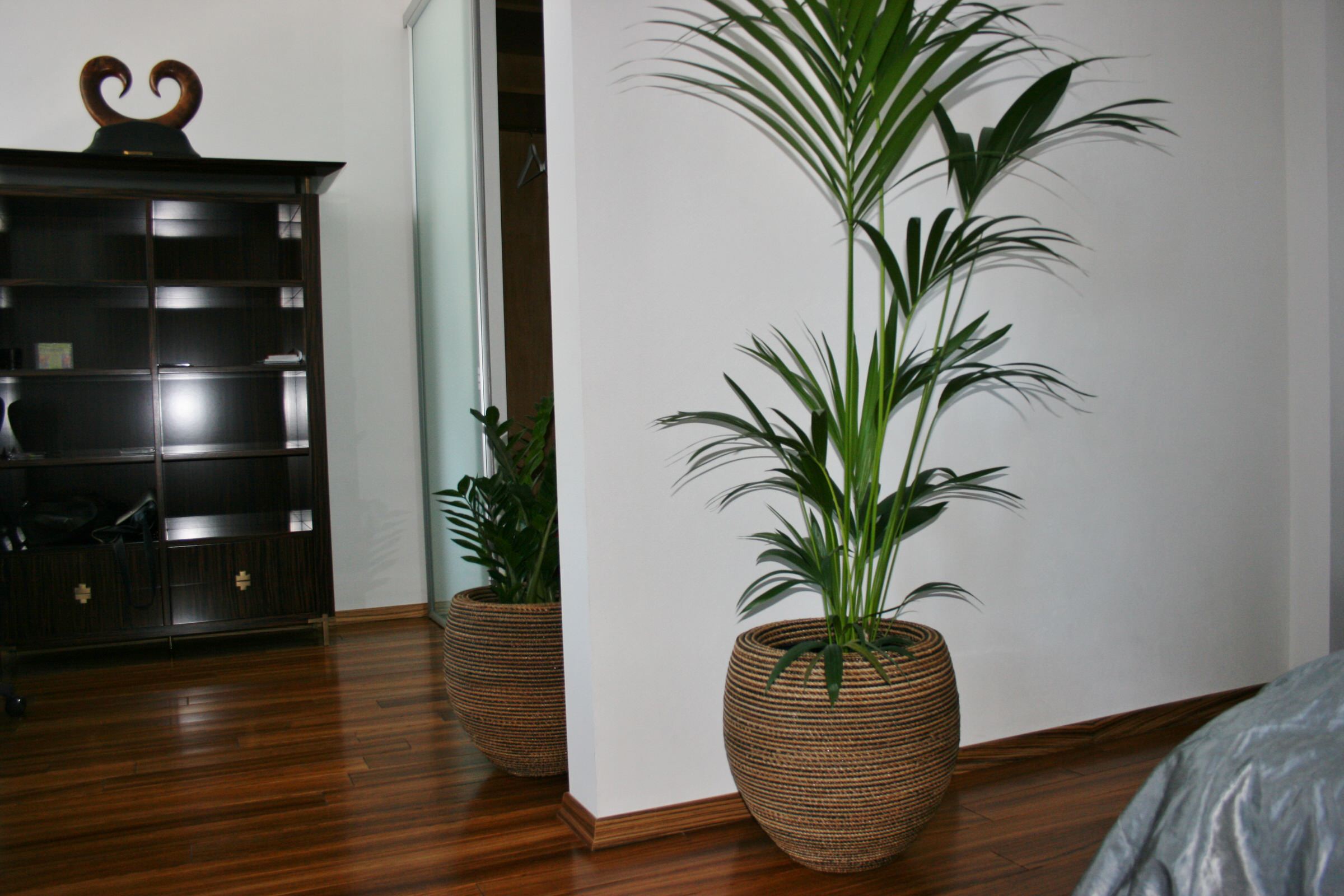 фитодизайн