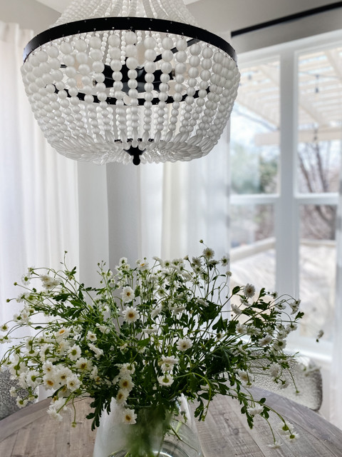 Trzesniak Cuisine | Highlands Ranch, CO | Traditional Living & Kitchen Space