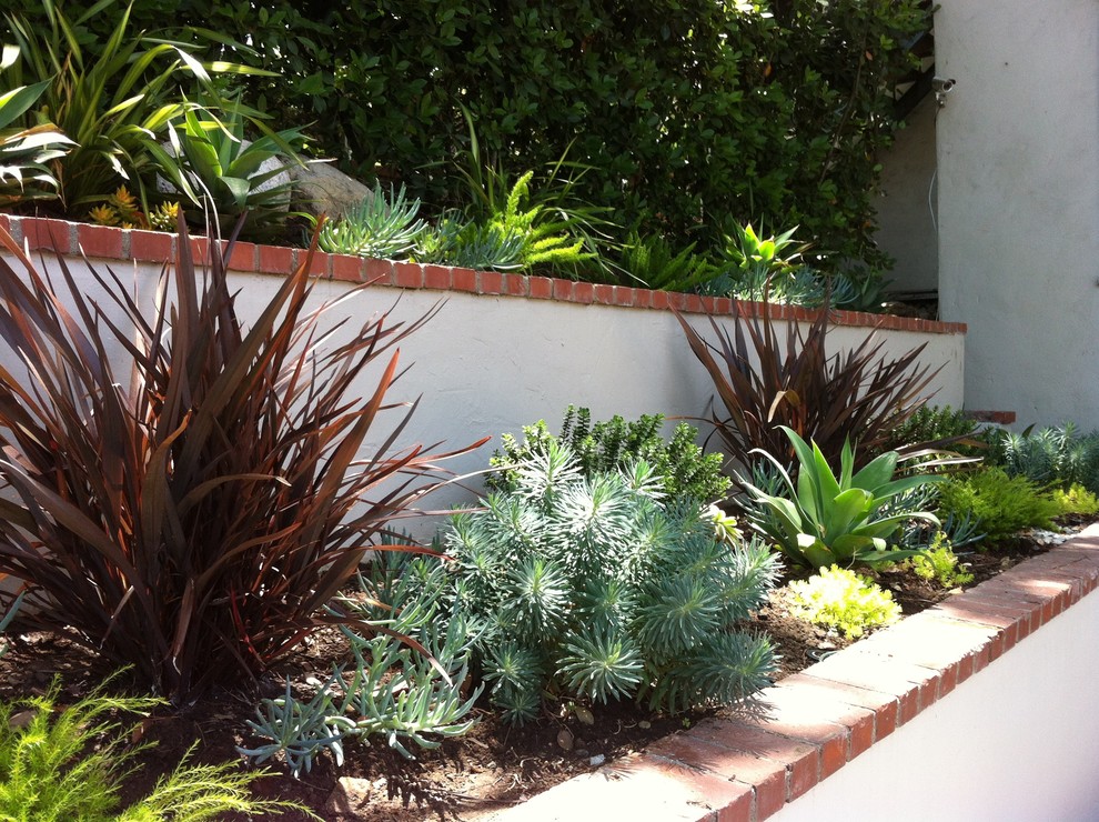 Design ideas for a small mediterranean courtyard garden in Los Angeles with a retaining wall.