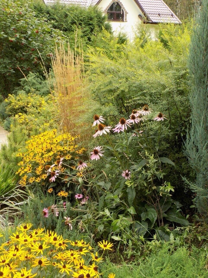 Озеленение, ландшафтный дизайн