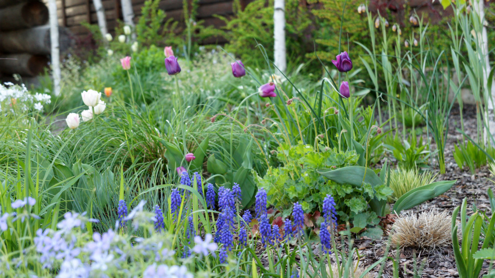 Цветники и композиции крупным планом
