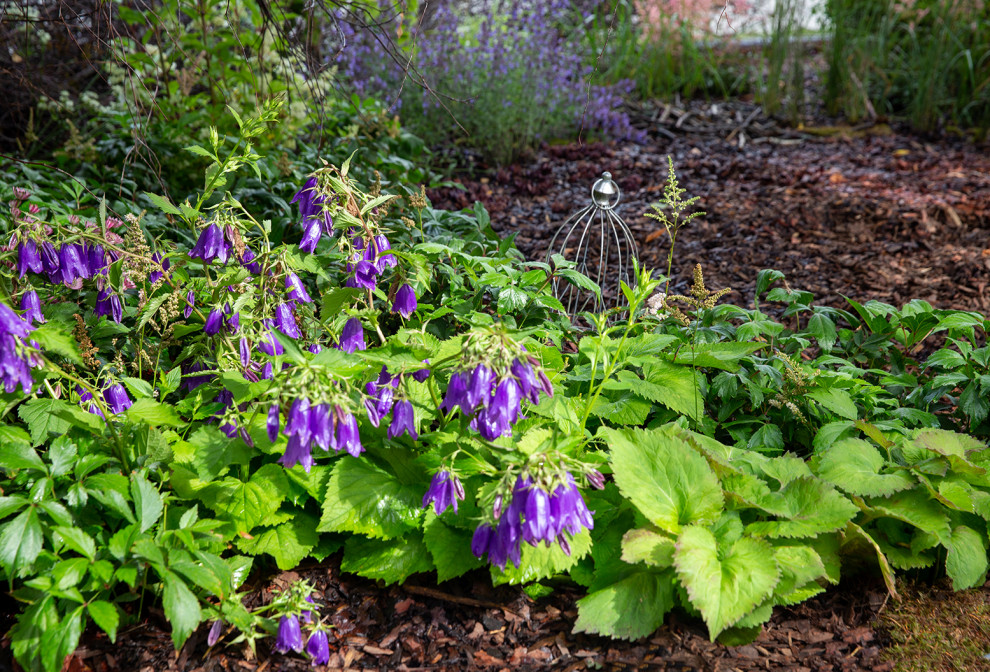 Фотосъемка Сада   по  Метрелинку на MFS 2019 Авторы М,Береснева М. ПРИНТЦ