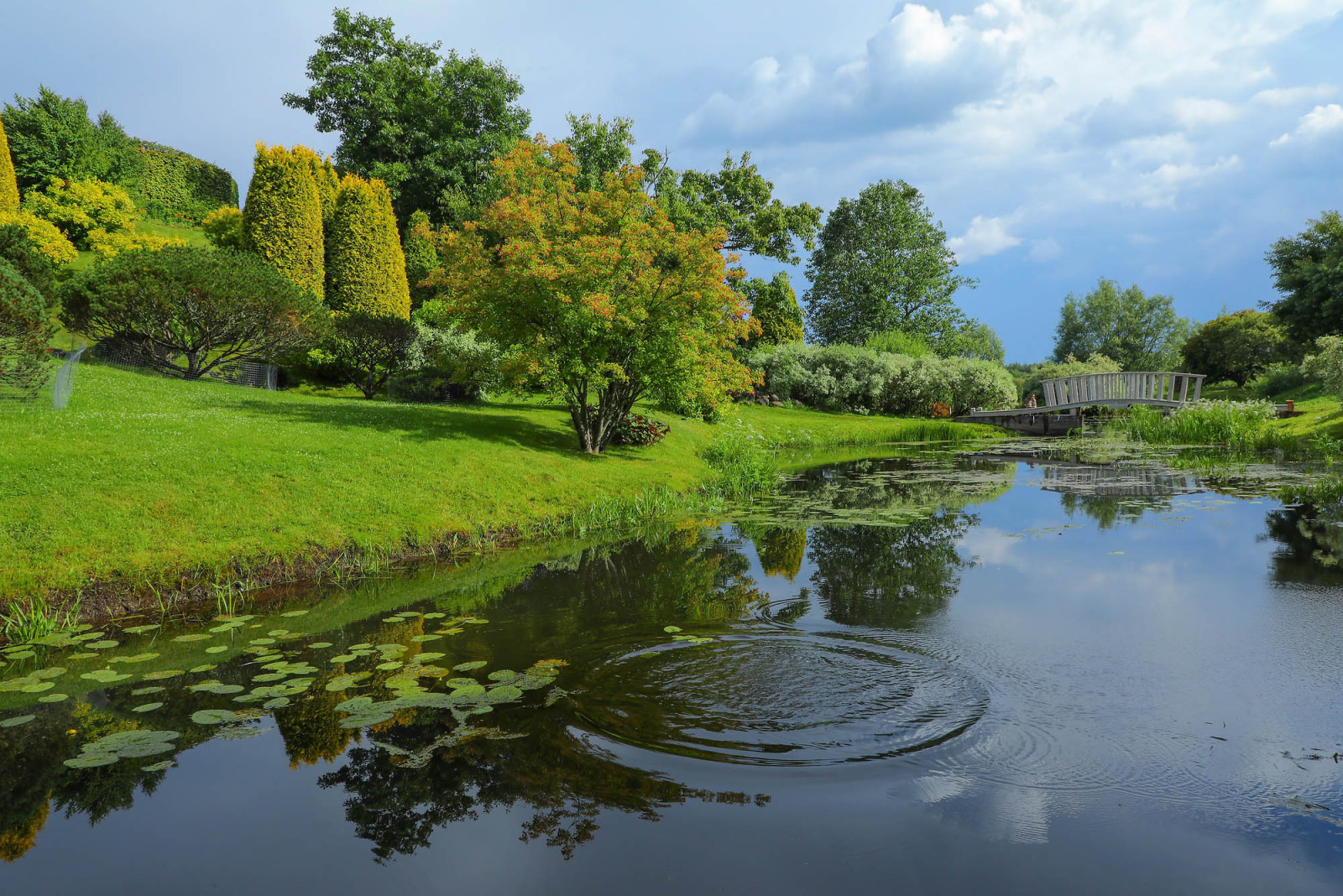Усадьба Ореховно, Псковская область