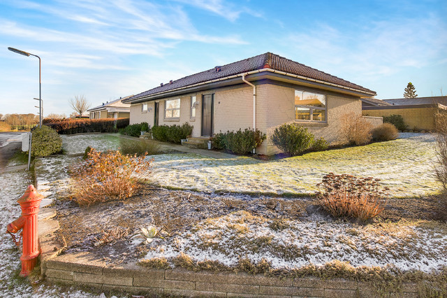 Sneppevej midcentury-exterior