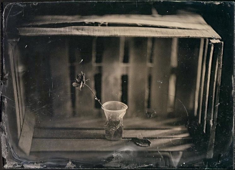 Фотографии для оформления интерьера в антикварной технике амбротип