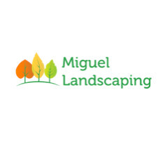 miguel landscaping