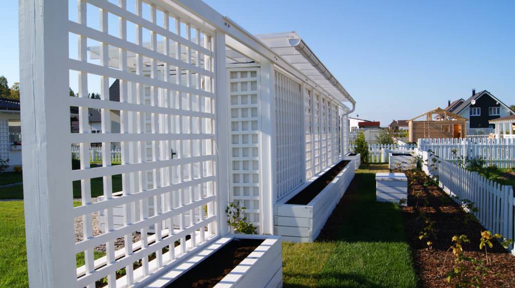 Легкий сад для Тихой Ладоги