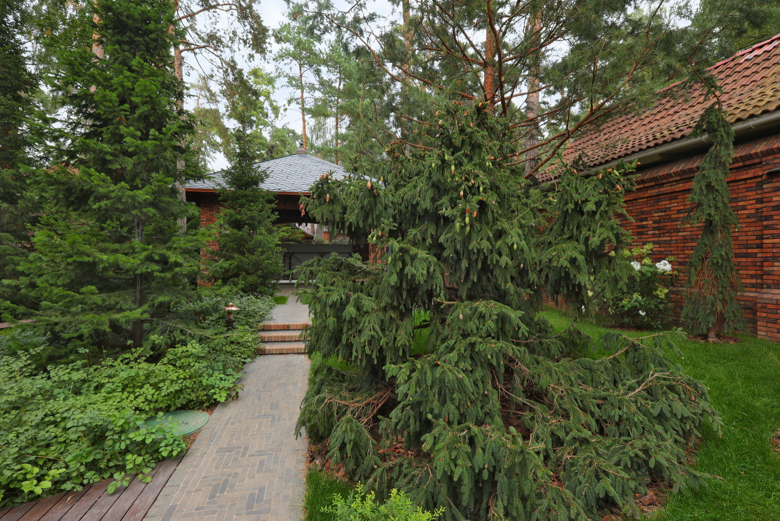 Коттеджный сад в Барвихе (дизайн и исполнение компании "Imperial Garden")