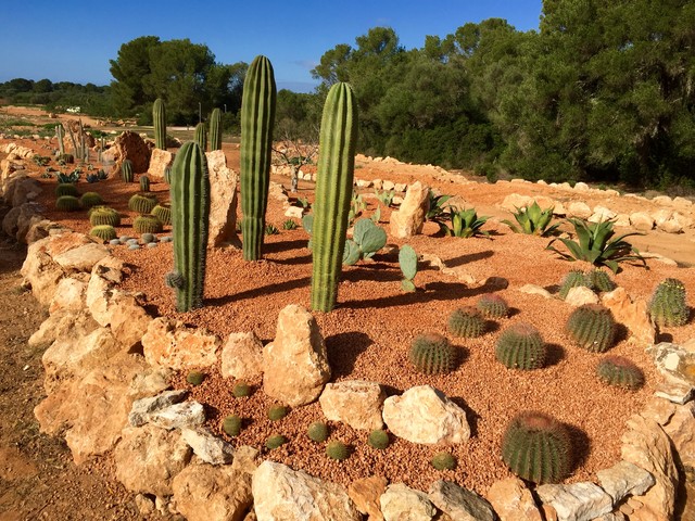 jardin en Llucmajor landhausstil-garten
