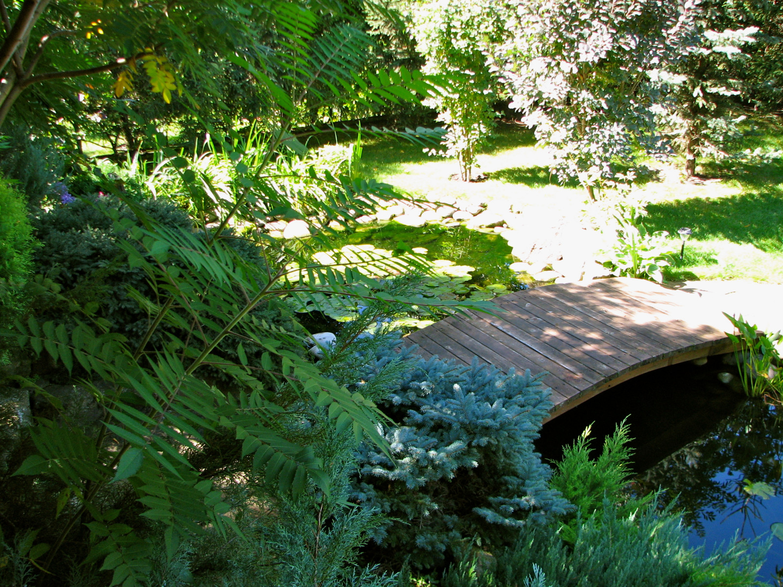 Японский сад