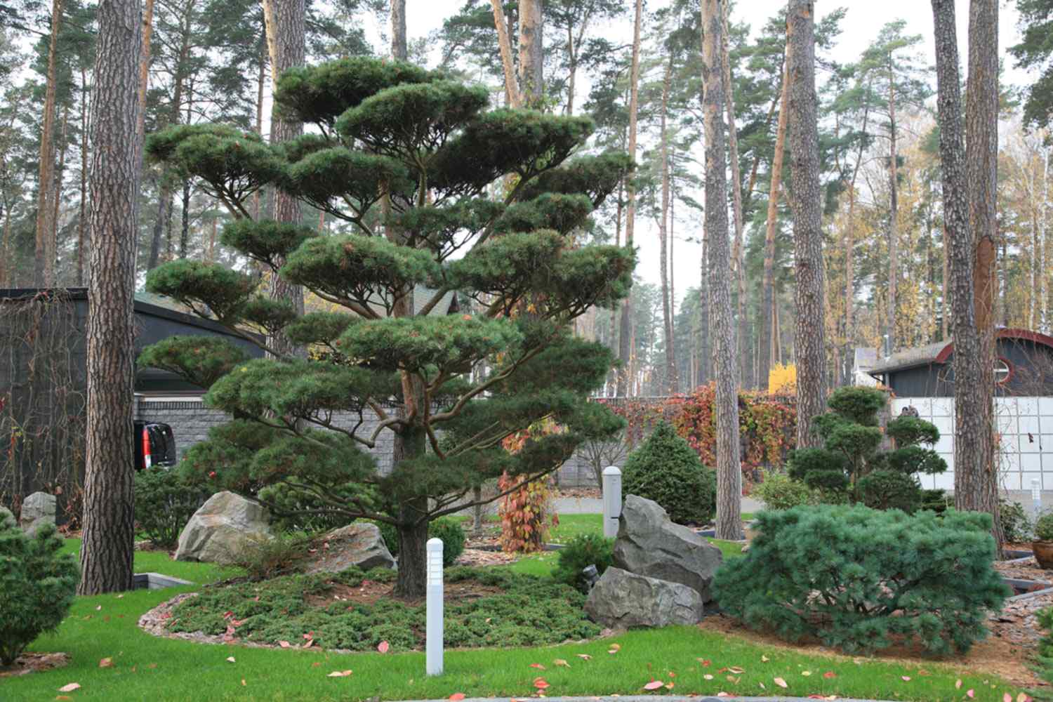 Ландшафтный сад в Горках 2