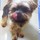 kim_dougherty9302192