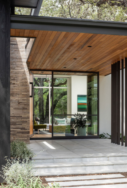 Barton Hills contemporary-entrance