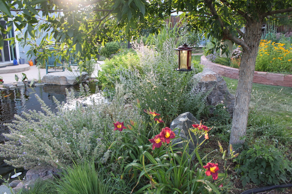 Design ideas for a bohemian garden in Denver.