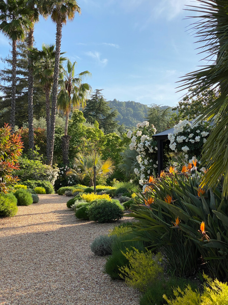 Cette photo montre un jardin méditerranéen de taille moyenne avec une exposition ensoleillée, une pente, une colline ou un talus et du gravier.