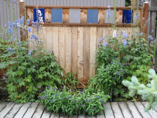 blue glass privacy screen along boardwalk with delphiniums