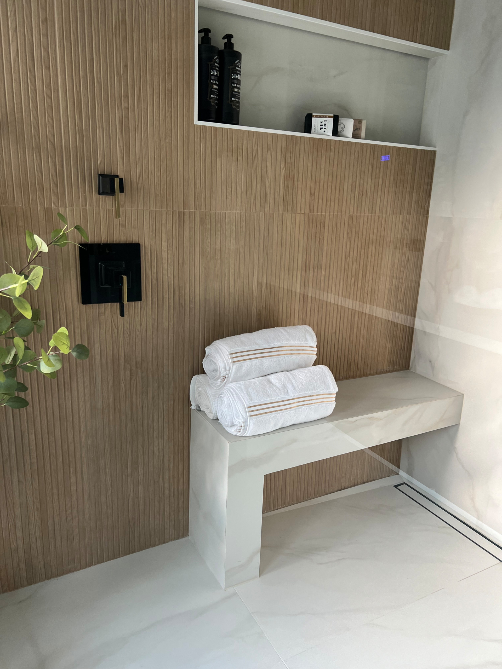 Mster bathroom remodeling Design project