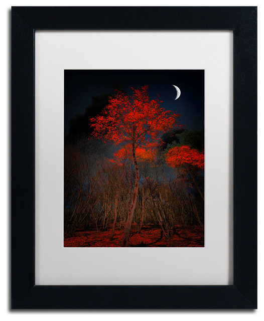 11 by 14-Inch Trademark Fine Art Old Barn Window Matted Framed Art by Lois Bryan with Black Frame