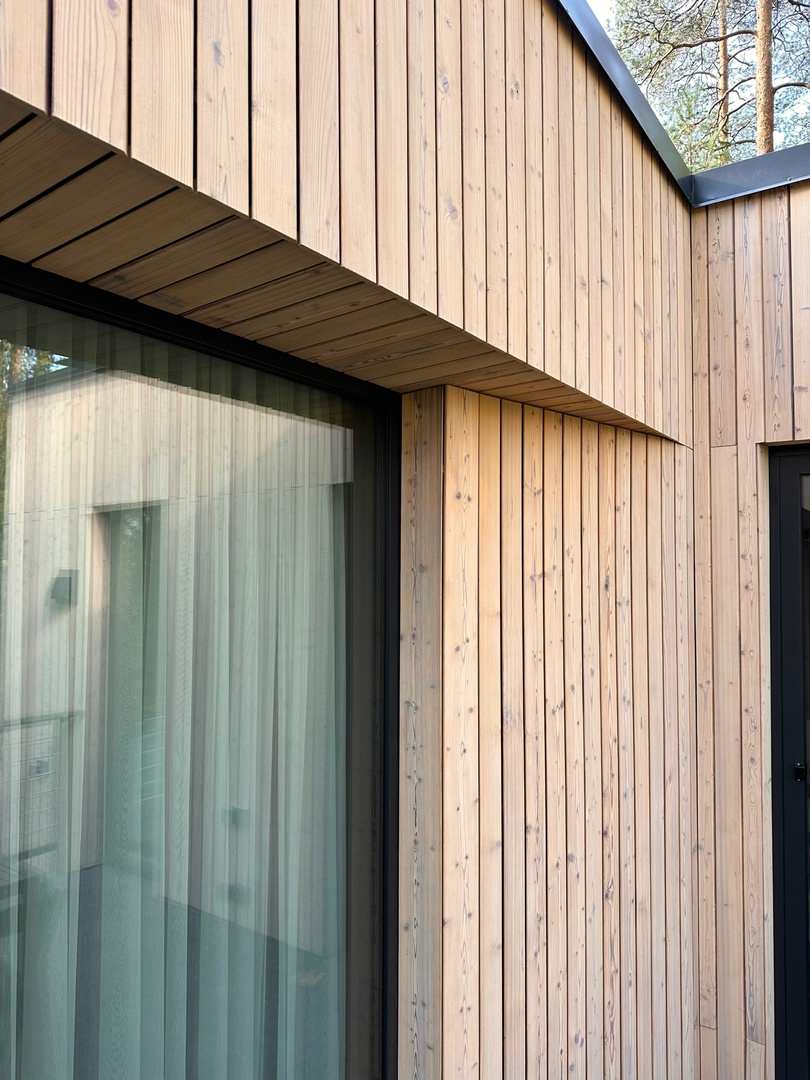 Лесная Рапсодия. Циркуль