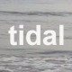 Tidal Architects Ltd