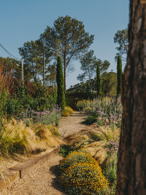 Jard&iacute;n Olivella mediterran-garten