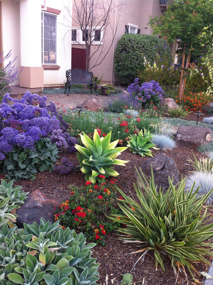 This is an example of a traditional front yard garden in San Francisco.