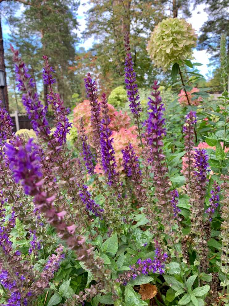 Таргайские усадьбы