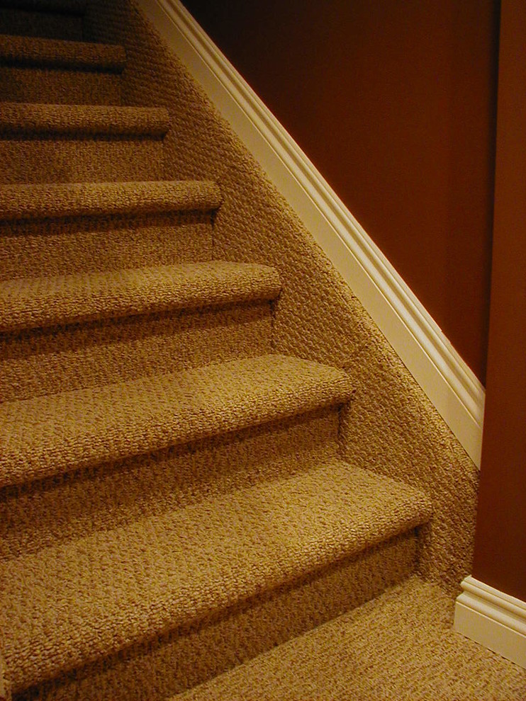 Photo of a mid-sized transitional carpeted straight staircase in Detroit with carpet risers.