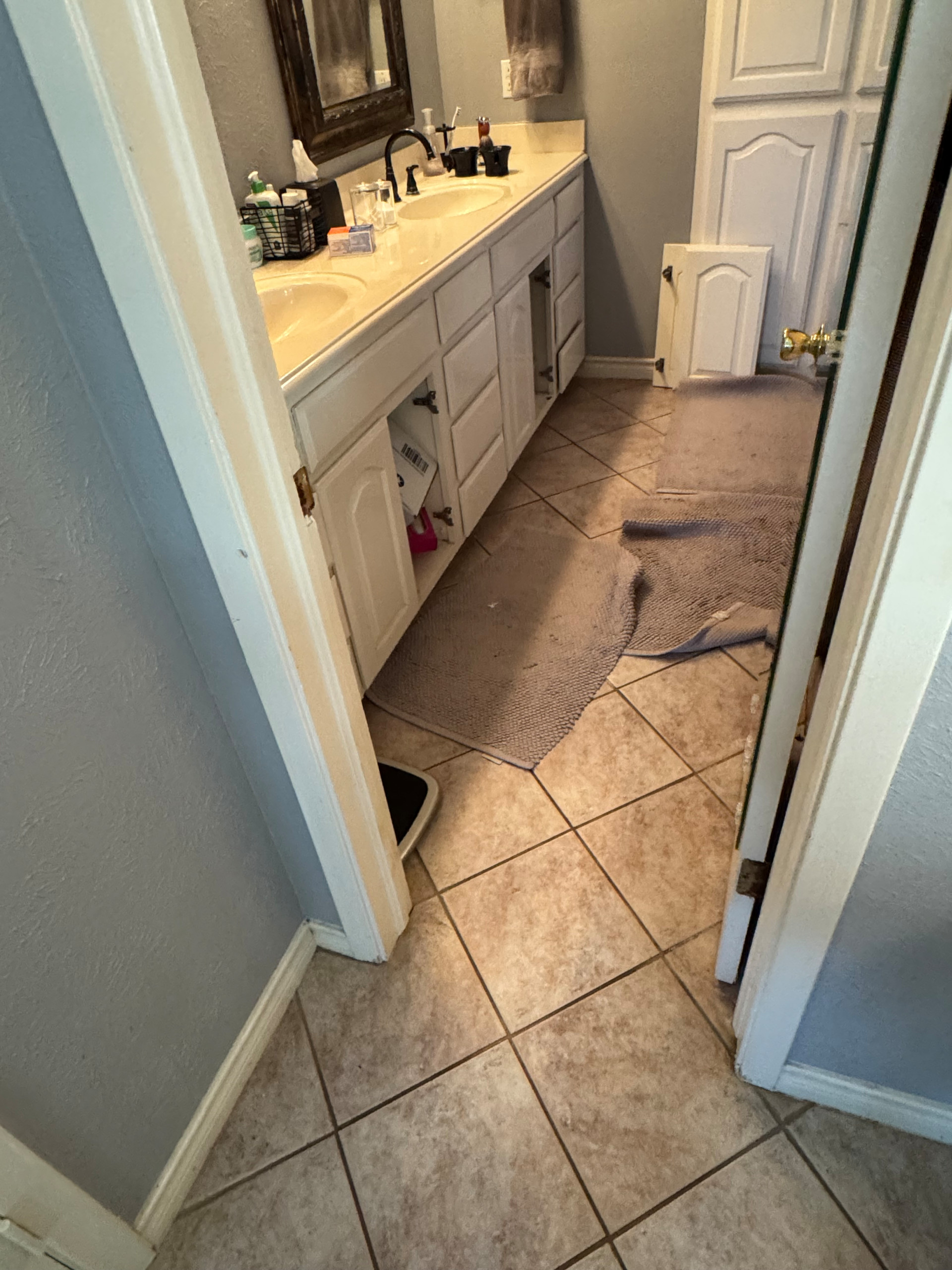 Far North Dallas Kitchen and Bath Remodel