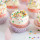 sianna_dhillon