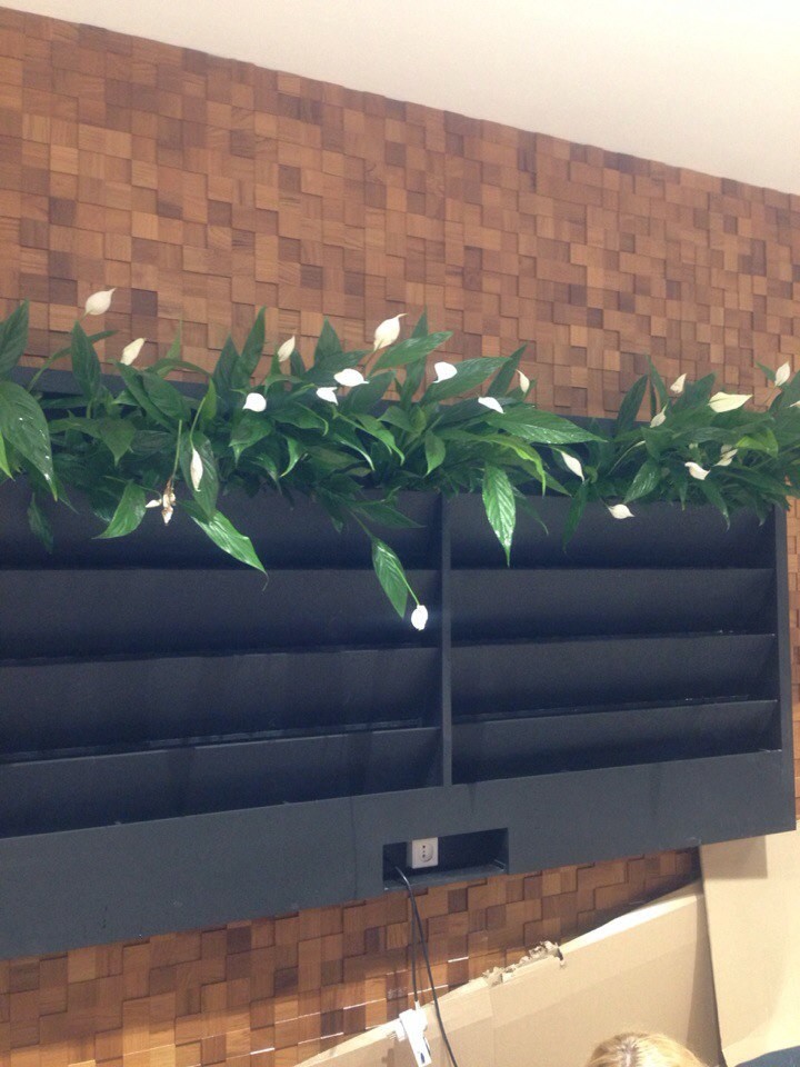 Так рождается красота