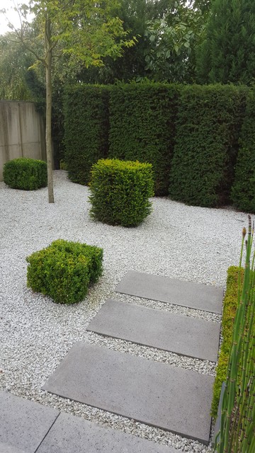 Sichtschutz Aus Pflanzen Diese 14 Gewachse Eignen Sich Als Grune Wand