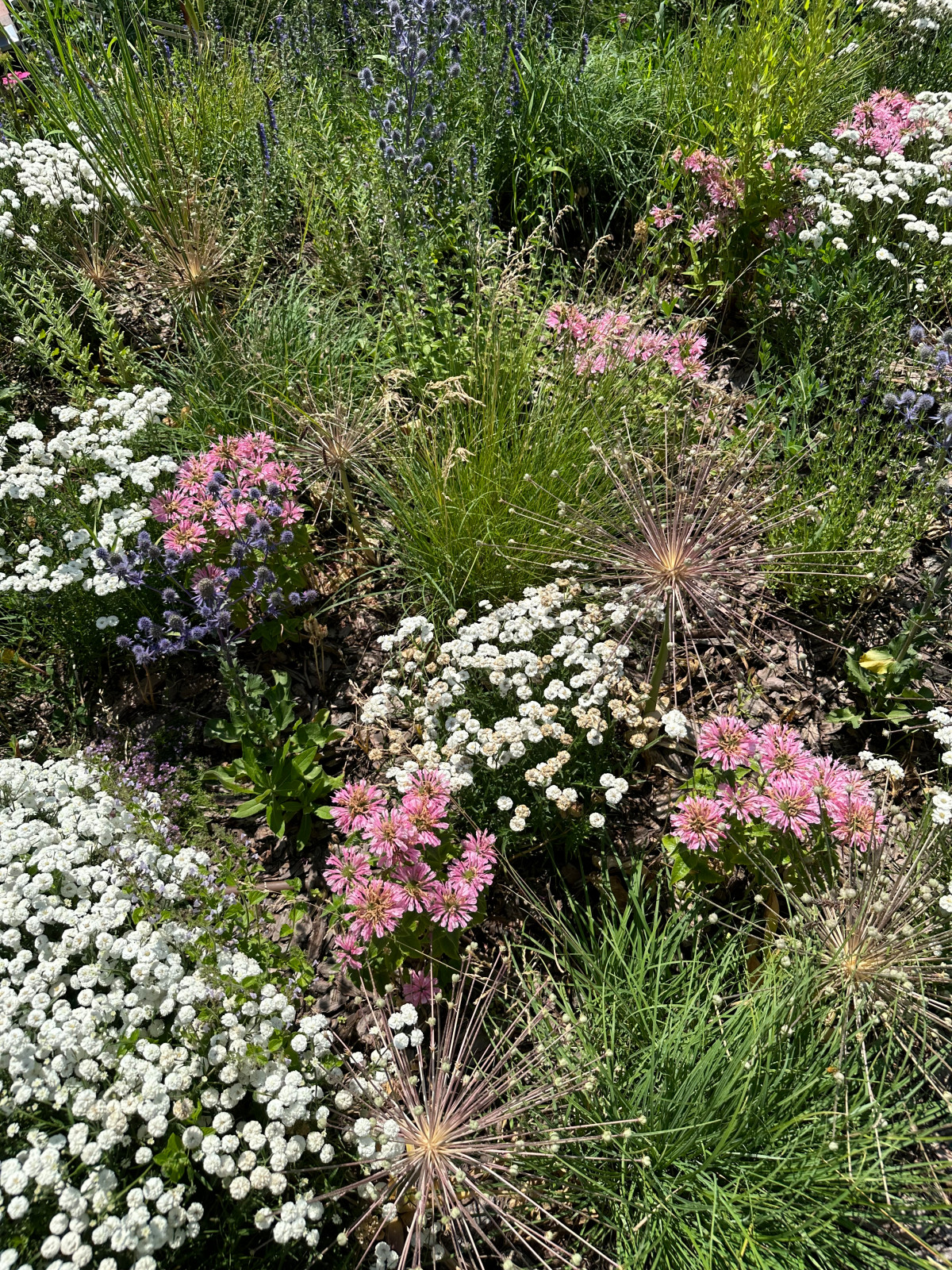 Сад с видом на Волгу