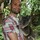 pasquale_mennella4