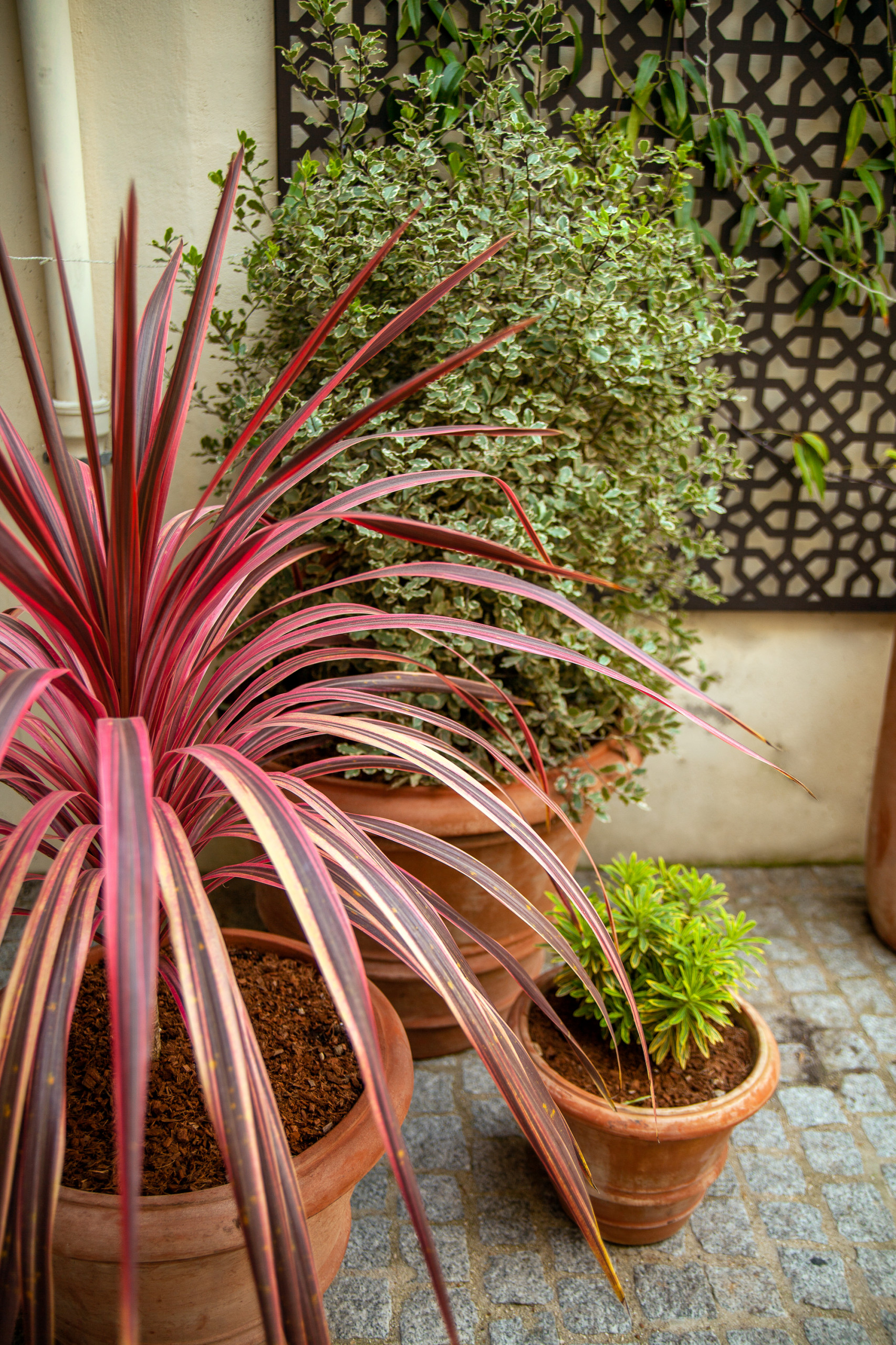 Ambiance Marocaine...