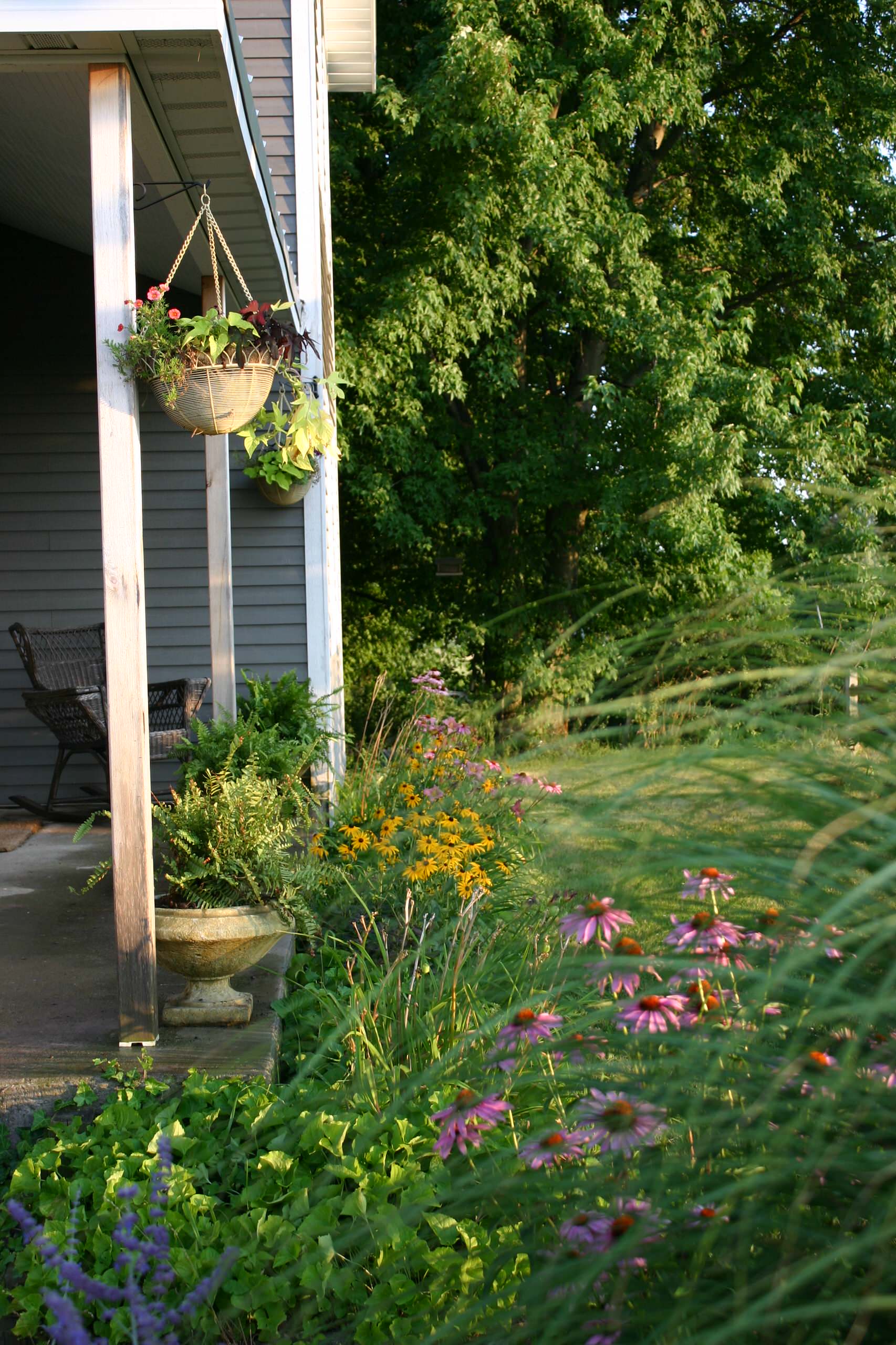 Get the Hang of Hanging Flower Baskets