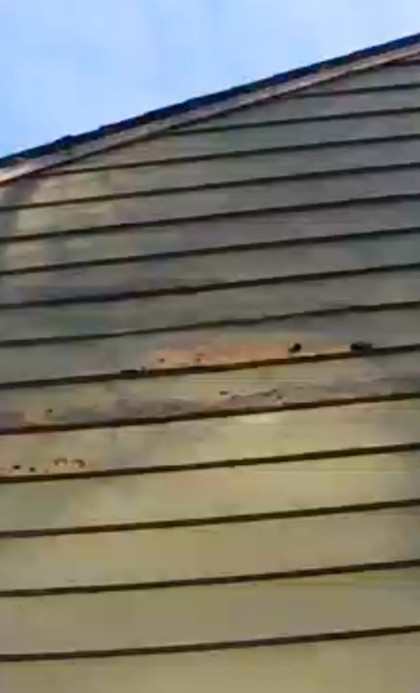 Does James Hardie siding prevent woodpecker damage?